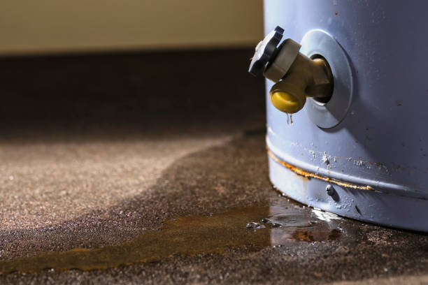 Best Commercial water damage restoration  in Security Widefield, CO