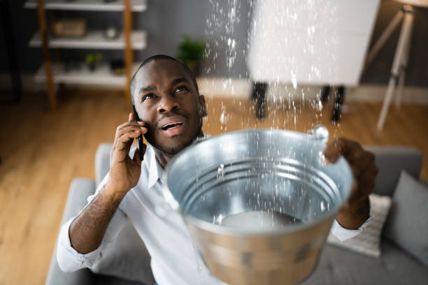 Best 24/7 water damage repair  in Security Widefield, CO