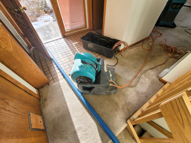 Best Water damage restoration near me  in Security Widefield, CO