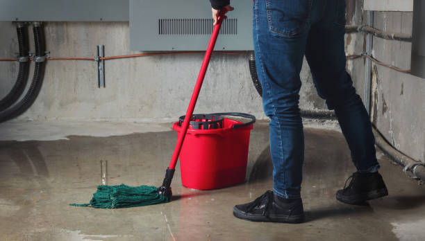 Best Water damage restoration company  in Security Widefield, CO