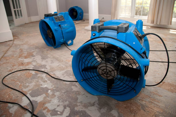 Best Water damage cleanup near me  in Security Widefield, CO