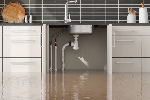 Best Water damage cleanup near me  in Security Widefield, CO