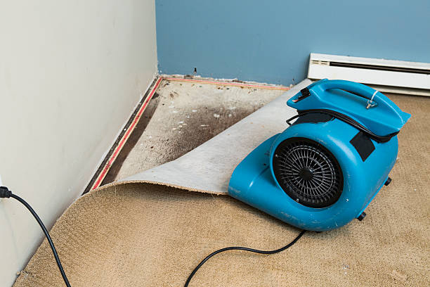 Water damage restoration process in CO